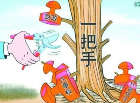 你確定你們的項(xiàng)目是“一把手工程”？